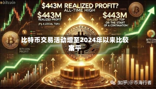 比特币交易活动增至2024年以来比较高
水平
