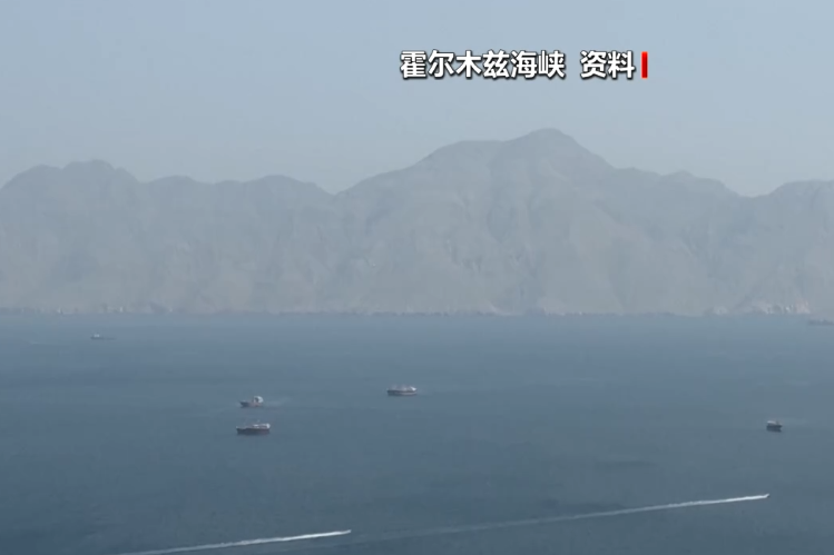 霍尔木兹大消息，伊朗宣布：通行船只须提交申请，60天内免费	，相关费用由伊朗政府承担！德国派军舰前往中东